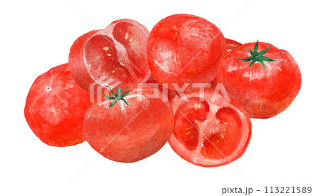 水彩で描いたトマトのイラスト 113221589