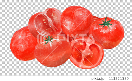 水彩で描いたトマトのイラスト 113221589