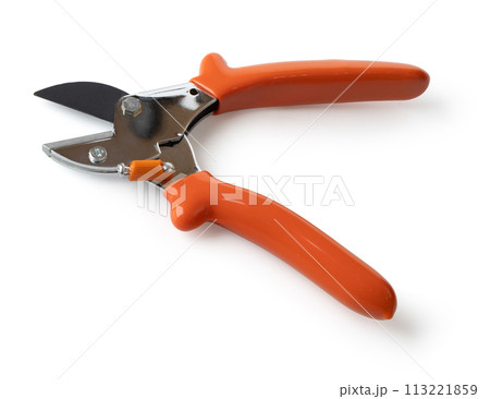 Secateurs with orange handles 113221859
