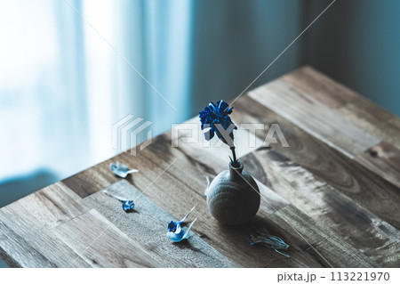 枯れた花 113221970