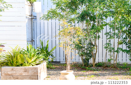 木の生えた庭先 113222353
