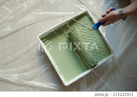 Hand of young woman holding paintroller Hand of young woman holding paintroller 113222911