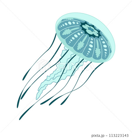 Cartoon jellyfish trendy flat style. Vector illustration jellyfish isolated on white 113223143