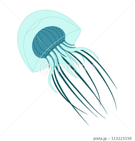 Cartoon jellyfish trendy flat style. Vector illustration jellyfish isolated on white 113223150