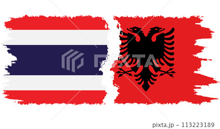 Albania and Thailand grunge flags connection vector 113223189