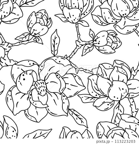 Pattern with magnolia flowers. Beautiful decorative plants. 113223203