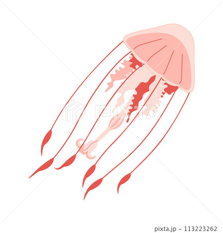 Cartoon Pink jellyfish trendy flat style. Vector illustration medusa. 113223262