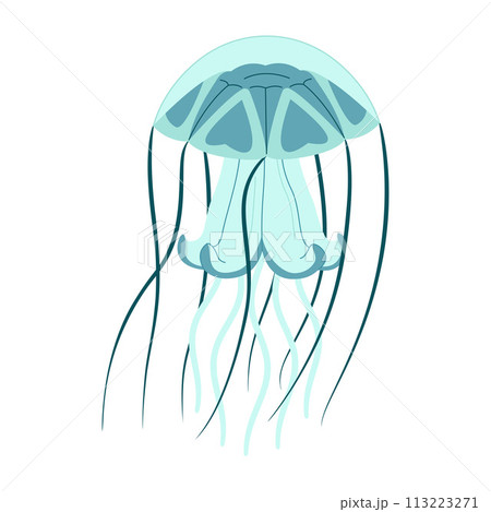 Cartoon jellyfish trendy flat style. Vector illustration jellyfish isolated on white 113223271