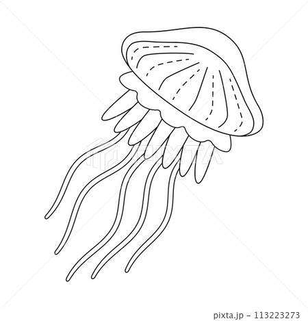 Jellyfish black and white line art illustration. Art therapy Coloring page 113223273