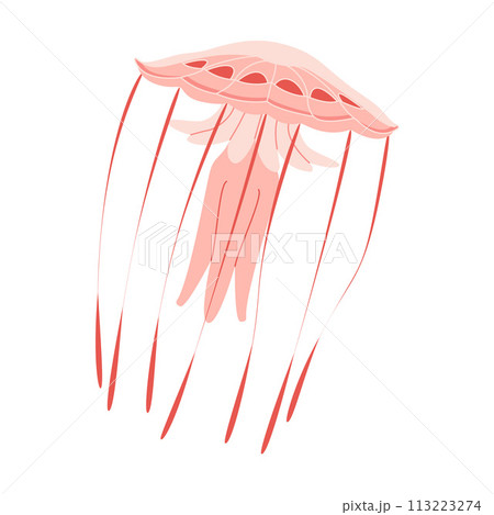 Cartoon Pink jellyfish trendy flat style. Vector illustration medusa. 113223274