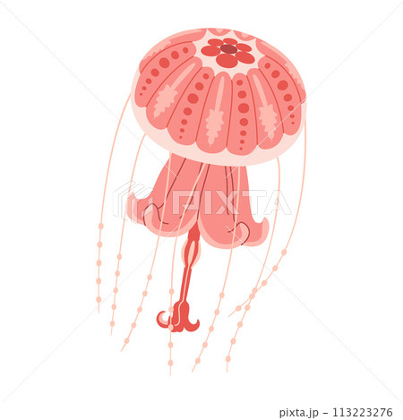 Cartoon Pink jellyfish trendy flat style. Vector illustration medusa. Cartoon Pink jellyfish trendy flat style. Vector illustration medusa. 113223276