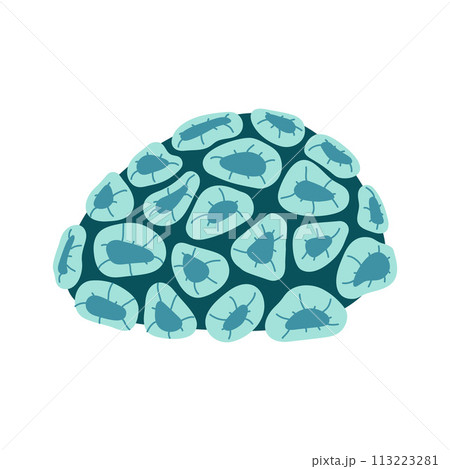 Palythoa coral polyps Hand drawn exotic coral reef underwater nature life flat style Palythoa coral polyps Hand drawn exotic coral reef underwater nature life flat style 113223281