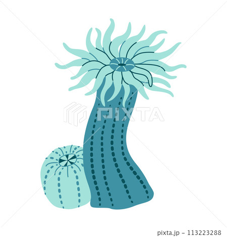 Sea anemones hand drawn. Sea wildlife. Actiniaria Sea anemones hand drawn. Sea wildlife. Actiniaria 113223288