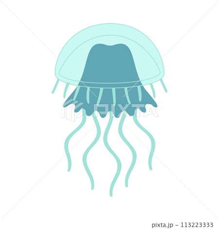Cartoon jellyfish trendy flat style. Vector illustration jellyfish isolated on white Cartoon jellyfish trendy flat style. Vector illustration jellyfish isolated on white 113223333