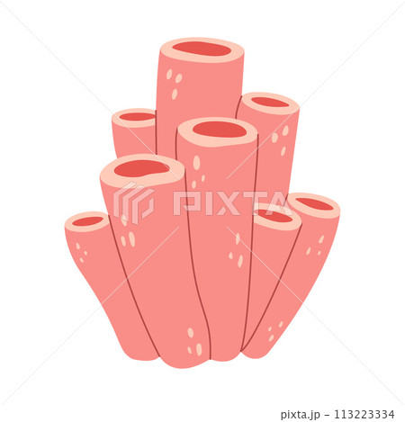 Sea sponge. Pink tube sponges. Colonial marine animal anemone. Underwater tropical reef plant Sea sponge. Pink tube sponges. Colonial marine animal anemone. Underwater tropical reef plant 113223334