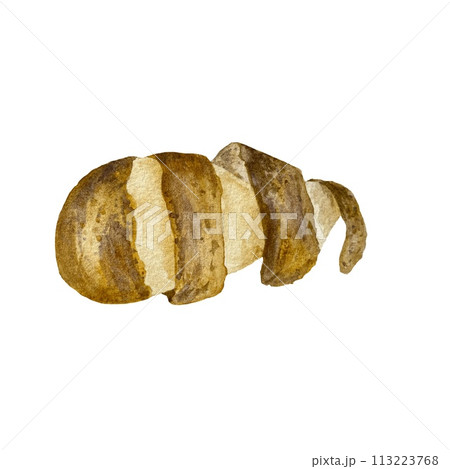 Potato spiral brown peel fresh watercolor sketch Potato spiral brown peel fresh watercolor sketch 113223768