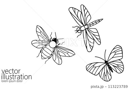 Line art butterfly bee and dragonfly. Nature beauty organic cosmetics concept. Ecology environment solution silhouette design. One sketch outline drawing vector illustration 113223789