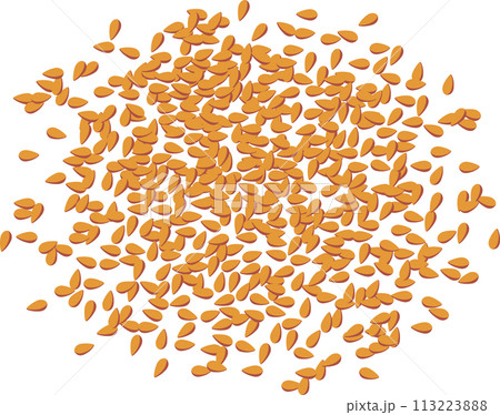 胡麻（炒り胡麻） 113223888