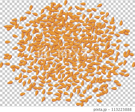 胡麻（炒り胡麻） 113223888