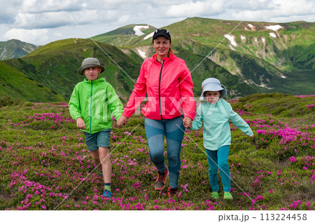 A mother with her son and daughter are walking among rhododendron bushes against the backdrop of the majesty of the Carpathian Mountains. A mother with her son and daughter are walking among rhododendron bushes against the backdrop of the majesty of the Carpathian Mountains. 113224458