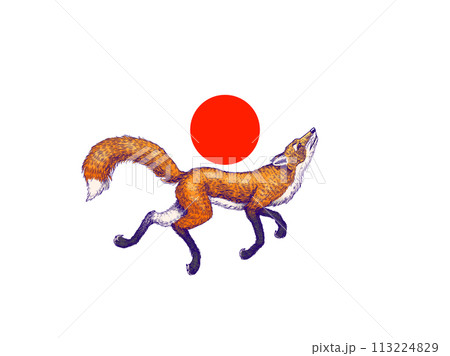 Red Riding Fox Drawing Red Fox Running Drawing
