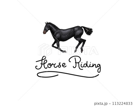 A Set Of Horses In Different Poses On A White Background. Hand drawn animal logo. Woodcut outline A Set Of Horses In Different Poses On A White Background. Hand drawn animal logo. Woodcut outline 113224833
