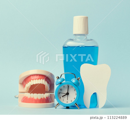 Human jaw model, mouthwash and alarm clock on blue background, oral hygiene Human jaw model, mouthwash and alarm clock on blue background, oral hygiene 113224889