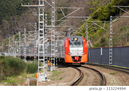 An electric train called Lastochka (Swallow in English) goes along the route 113224994