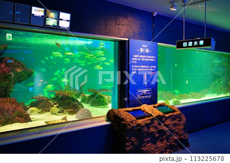 サンピアザ水族館の風景 113225678