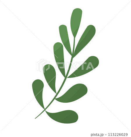 leaf branch autumn forest green icon element leaf branch autumn forest green icon element 113226029