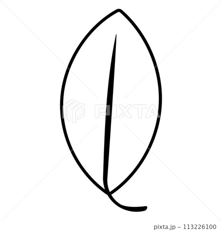 leaf foliage autumn line icon forest element 113226100