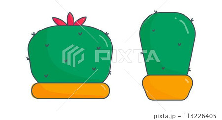 cactus green needles pot yellow set elements 113226405