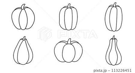 pumpkins autumn food set elements line doodle 113226451