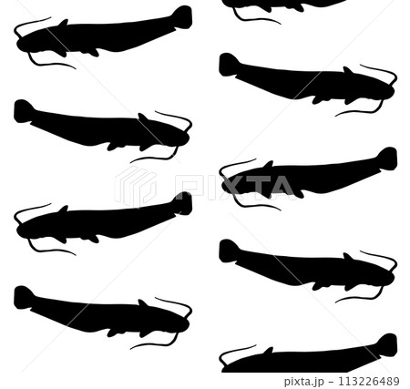 Vector seamless pattern of catfish fish silhouette 113226489