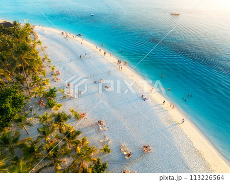 Aerial view of green palm trees, umbrellas, sandy beach, sea 113226564