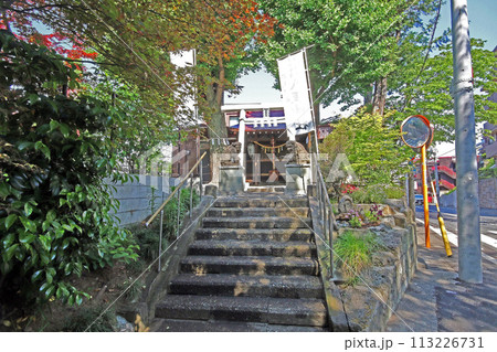 八坂神社（板橋） 113226731