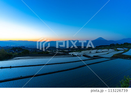 【初夏素材】夜明けの中野の棚田【山梨県】 113226739