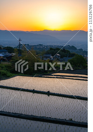 【初夏素材】夜明けの中野の棚田【山梨県】 113226766