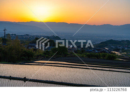 【初夏素材】夜明けの中野の棚田【山梨県】 【初夏素材】夜明けの中野の棚田【山梨県】 113226768