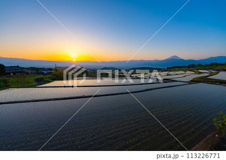 【初夏素材】夜明けの中野の棚田【山梨県】 113226771
