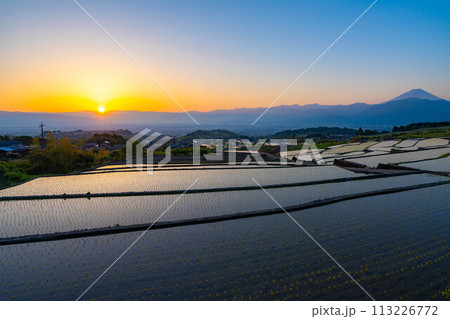【初夏素材】夜明けの中野の棚田【山梨県】 113226772