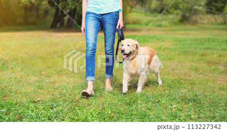 Owner woman walking with Golden Retriever dog on leash in summer park Owner woman walking with Golden Retriever dog on leash in summer park 113227342