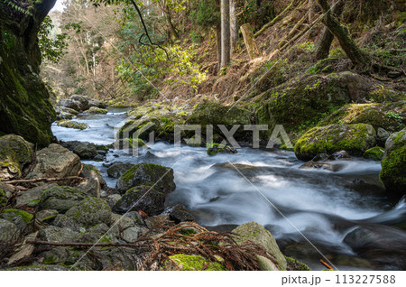 京都洛北の清流貴船川 113227588