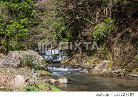京都洛北の清流貴船川 113227594