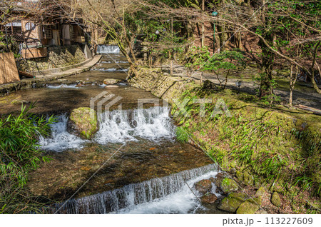 京都洛北の清流貴船川　 113227609