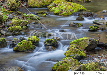 京都洛北の清流貴船川 京都洛北の清流貴船川 113227627
