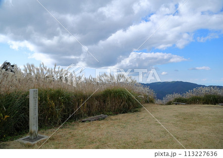 ススキの広場　山頂 113227636