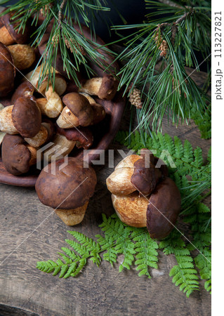 Imleria Badia or Boletus badius mushrooms commonly known as the bay bolete and clay plate with mushrooms on vintage wooden background.. 113227821
