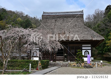 桜咲く春の景徳山安国寺 113228132