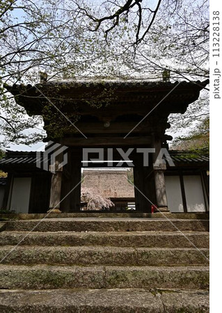 桜咲く春の景徳山安国寺 113228138